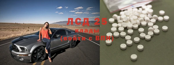 сатива Нея